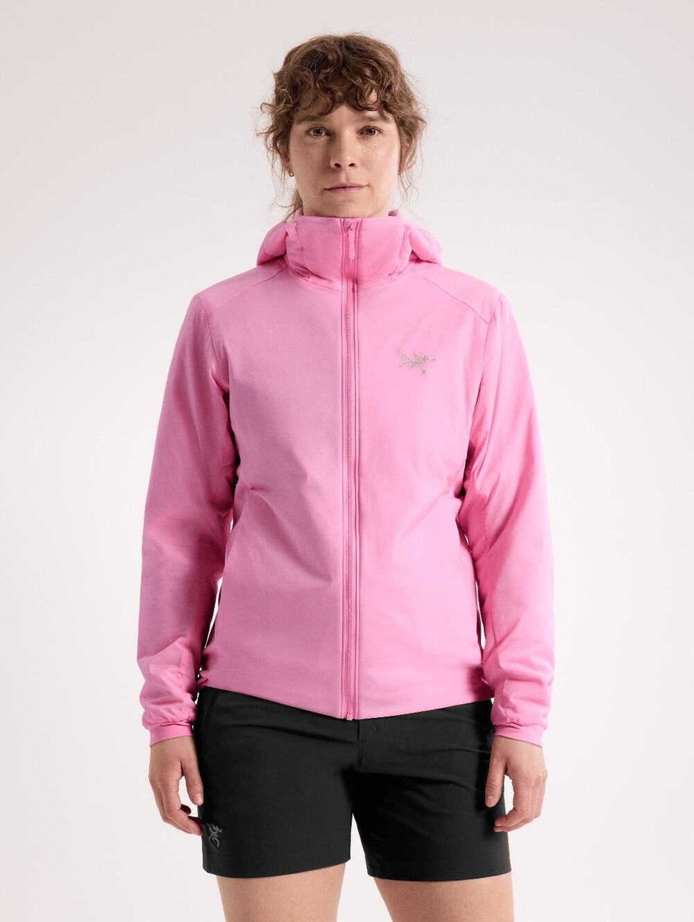 Arc'teryx Gamma Lightweight Hoody, Large